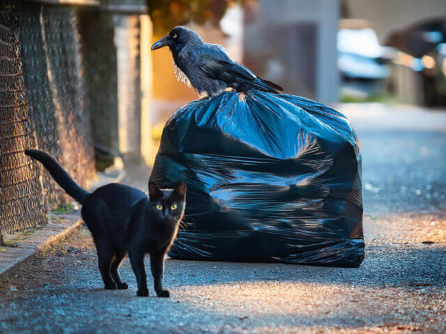 害鳥・害獣対策は「退治」ではなく被害の「予防」です