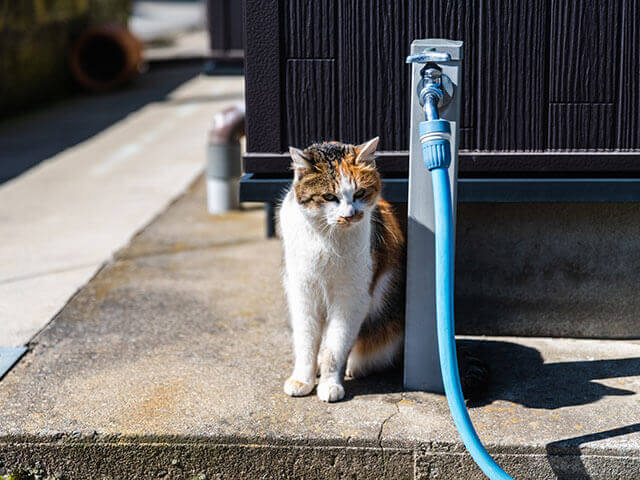 地域で協力する