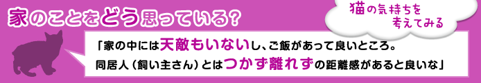 家のことをどう思っている？　猫の気持ちを考えてみる「家の中には天敵もいないし、ご飯があって良いところ。同居人（飼い主さん）とはつかず離れずの距離感があると良いな」